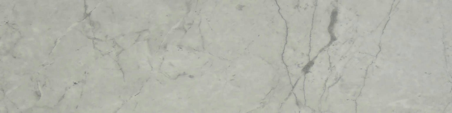 Roma Argento Honed 3X12 Bullnose | Arley Wholesale