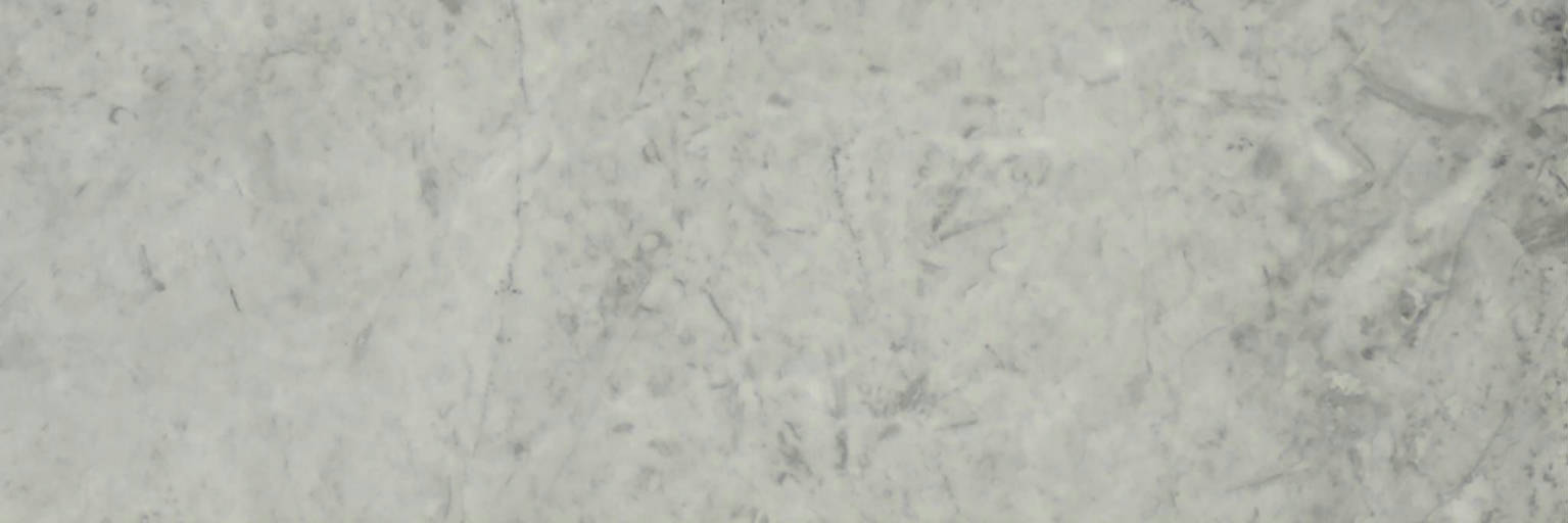 Roma Argento Honed 4X12 | Arley Wholesale