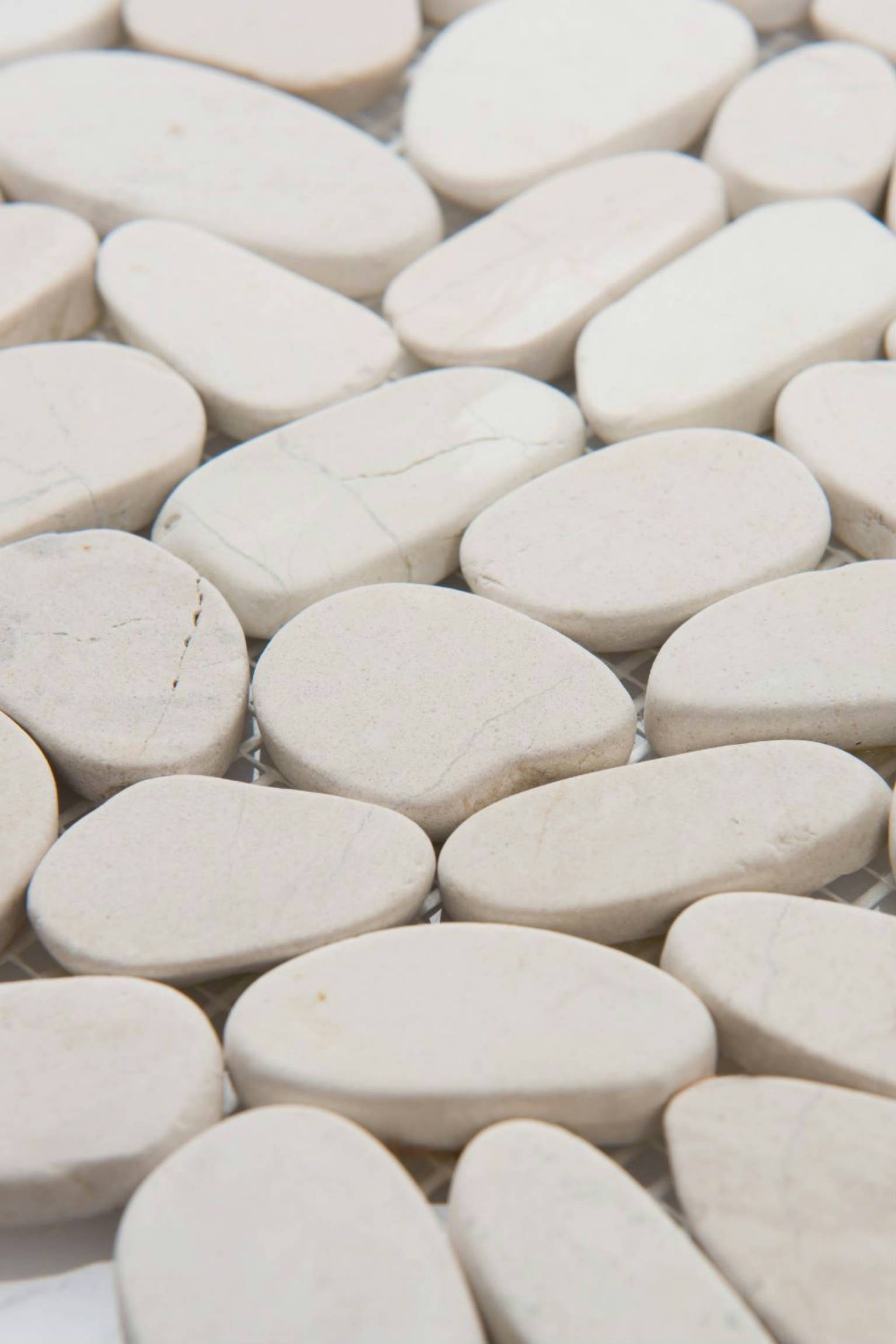 Serenity Ivory Flat Pebble | Clon Digital Tile Catalog