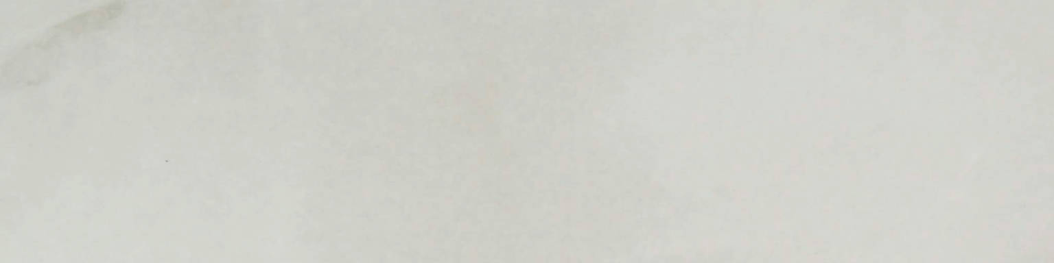 Sorrento Onyx Honed 3X12 Bullnose | Arley Wholesale