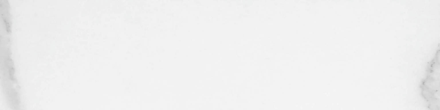 Statuario Venezia Polished 3X12 Bullnose | Arley Wholesale