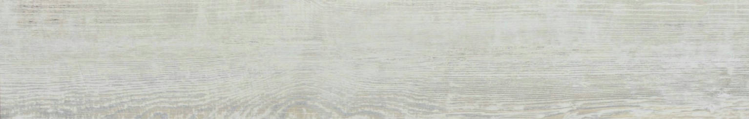 Tucson Ivory 6X36 | Arley Wholesale