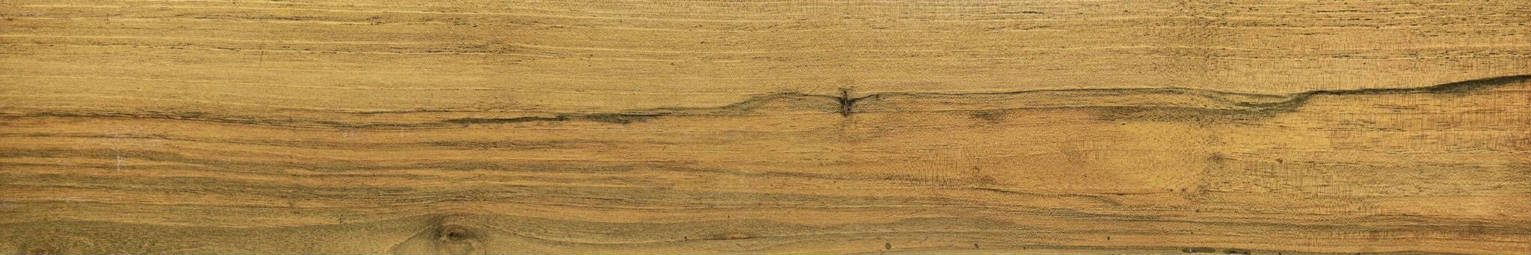 Warm Honey 6X36 | Arley Wholesale