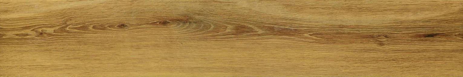 Warm Honey 6X36 | Arley Wholesale