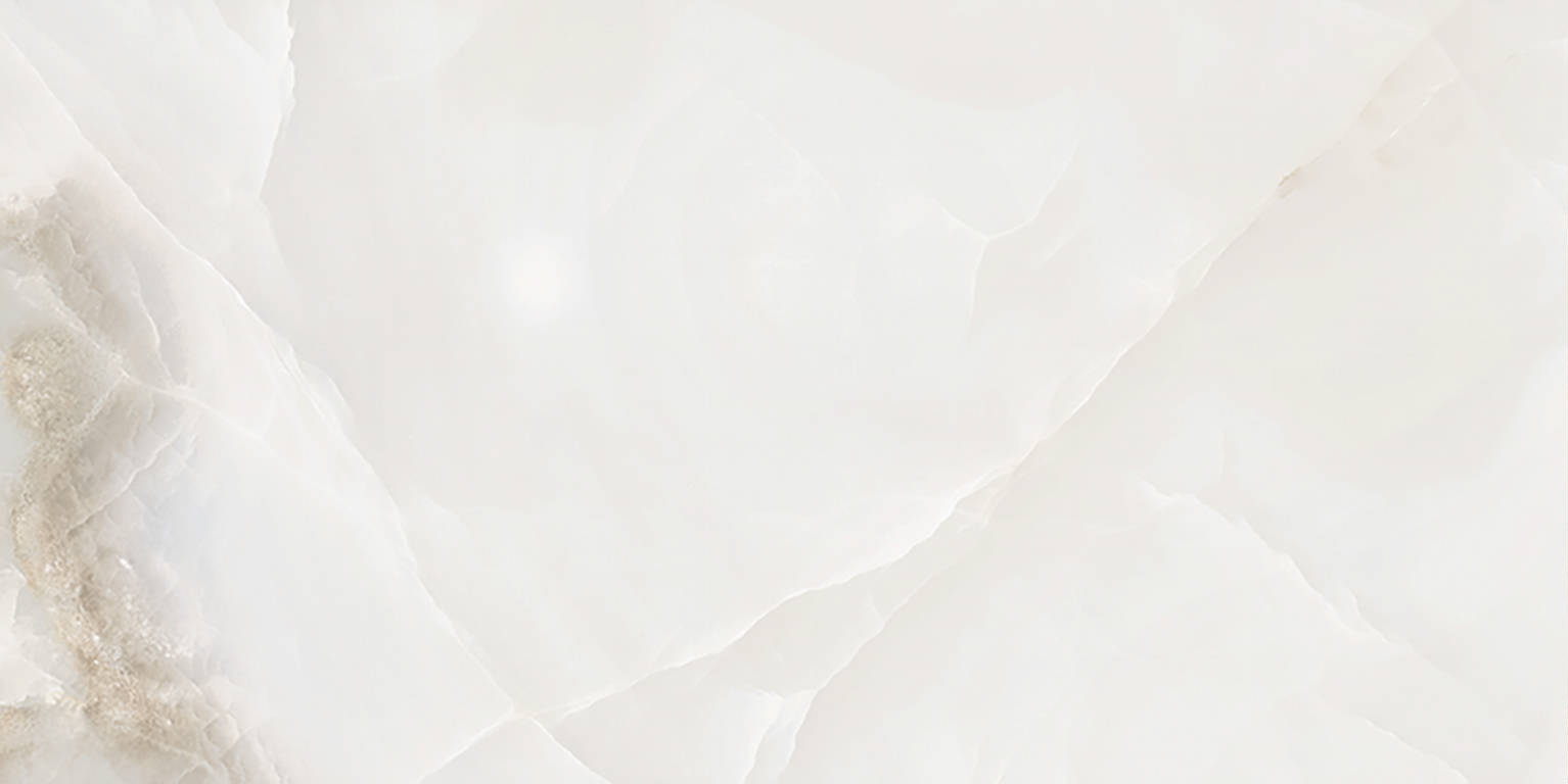 Rendezvous White Polished 12x24 | Clon Digital Tile Catalog