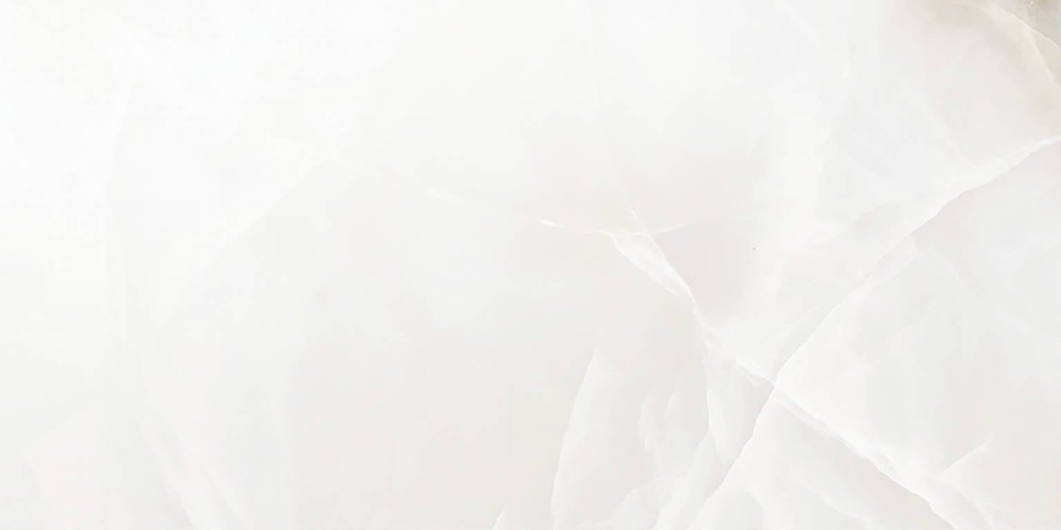 Rendezvous White Polished 12x24 | Clon Digital Tile Catalog