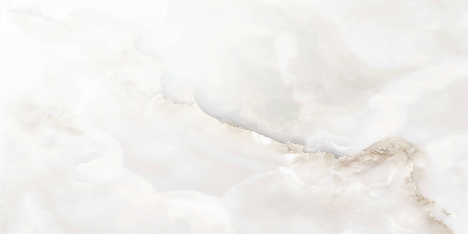 Rendezvous White Polished 24x48 | Clon Digital Tile Catalog