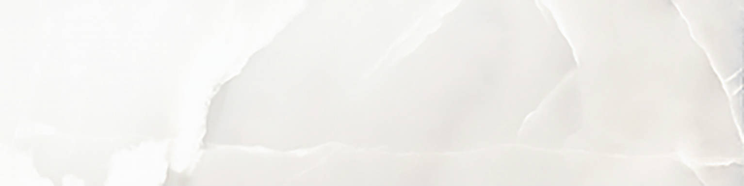 Rendezvous White Polished 3x12 | Clon Digital Tile Catalog