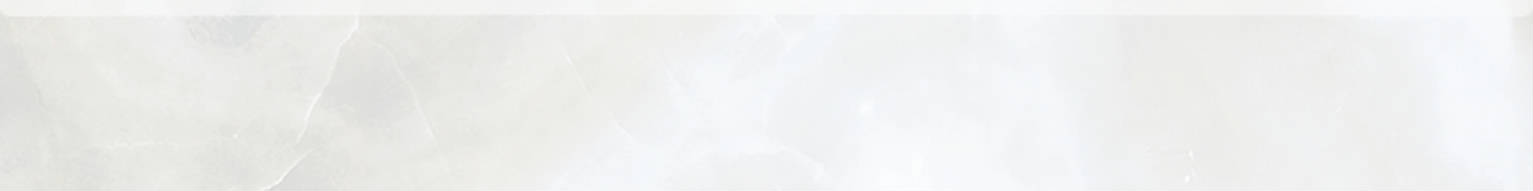 Rendezvous White Polished 3x24 Bullnose | Clon Digital Tile Catalog