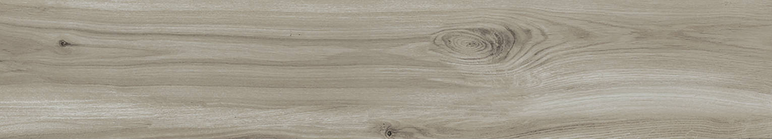 Champlain Grey 8x48 | Clon Digital Tile Catalog