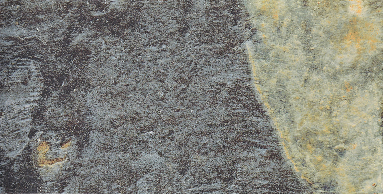 Jade 12x24 | Clon Digital Tile Catalog