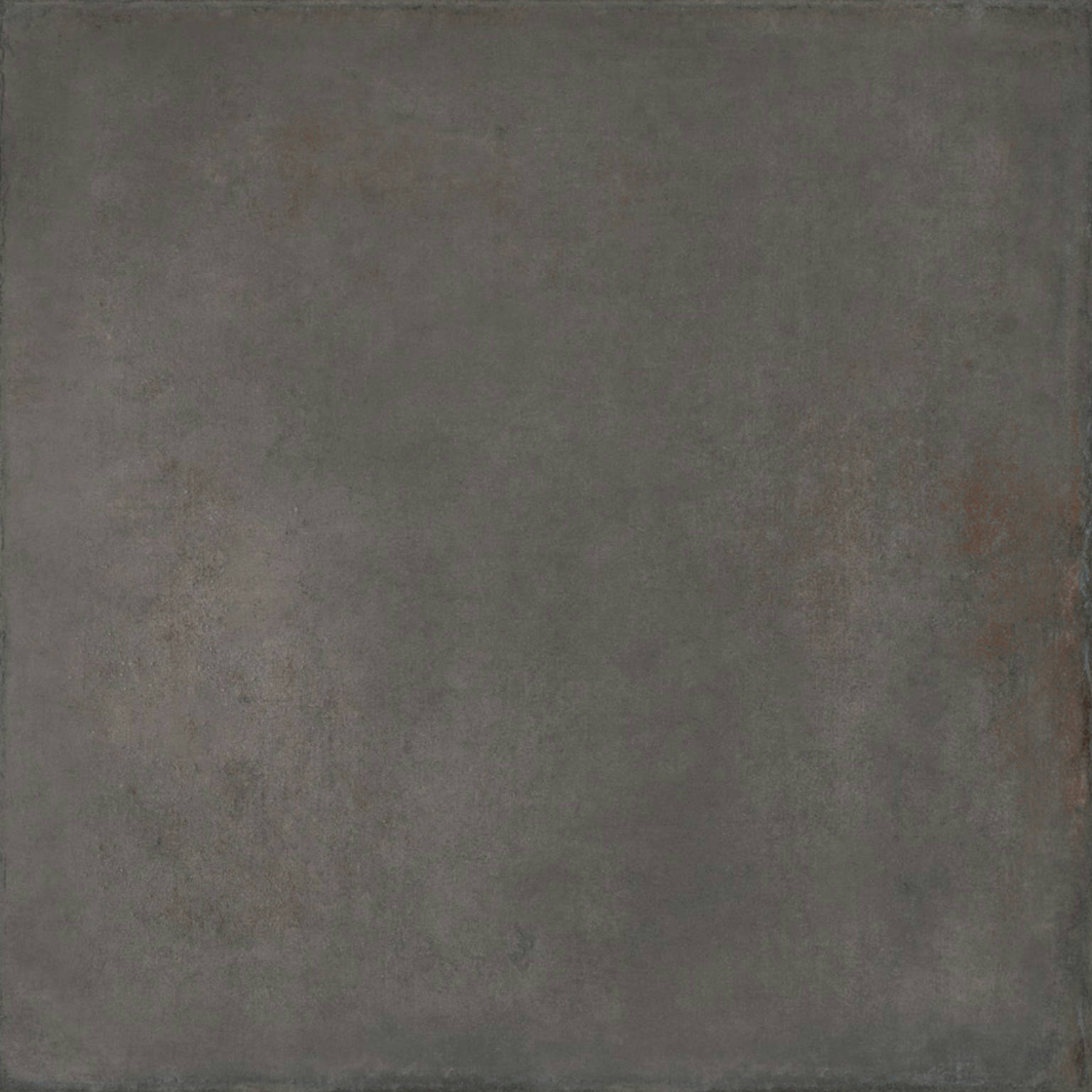 Palms Steel 40x40 | Clon Digital Tile Catalog