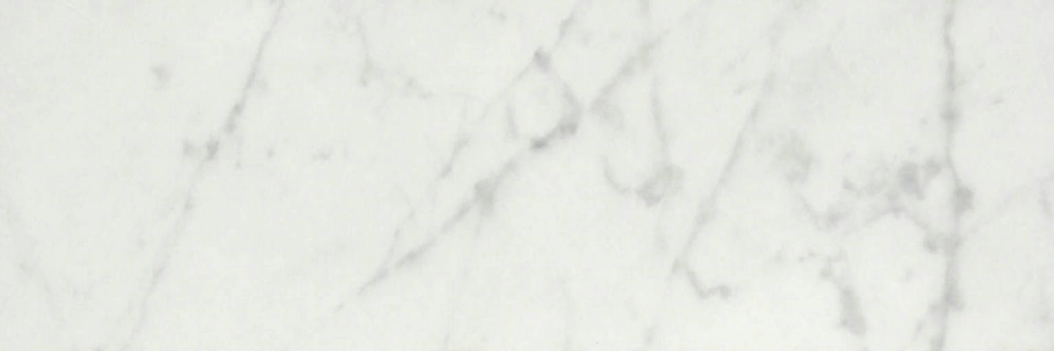 San Giulio Gioia Polished 4X12 | Clon Digital Tile Catalog