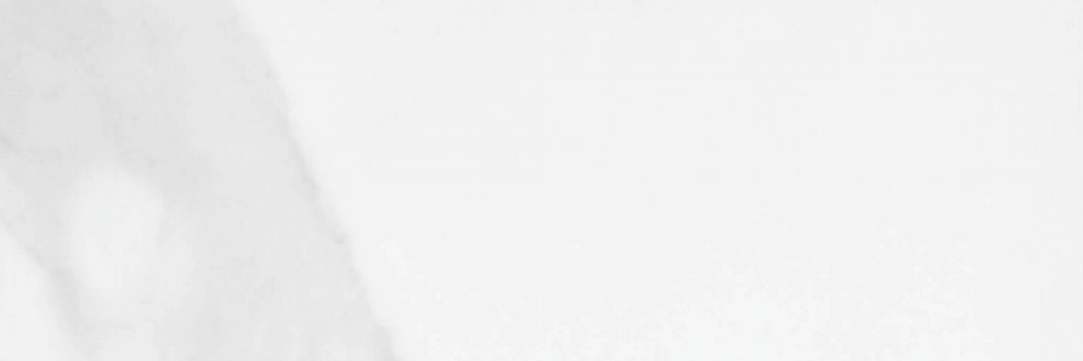 Statuario Venezia Polished 4X12 | Clon Digital Tile Catalog