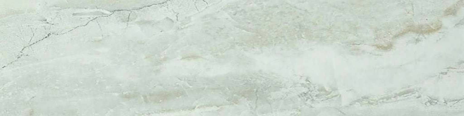 Amur 4X12 | Clon Digital Tile Catalog