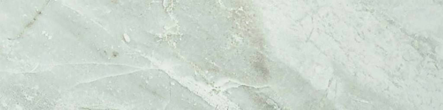 Amur 4X12 | Clon Digital Tile Catalog