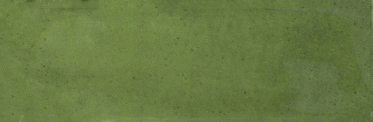 Barcelona 2x6" Olive | Clon Digital Tile Catalog
