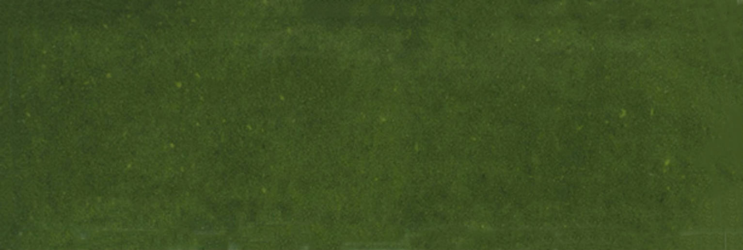 Barcelona 2x6" Olive | Clon Digital Tile Catalog