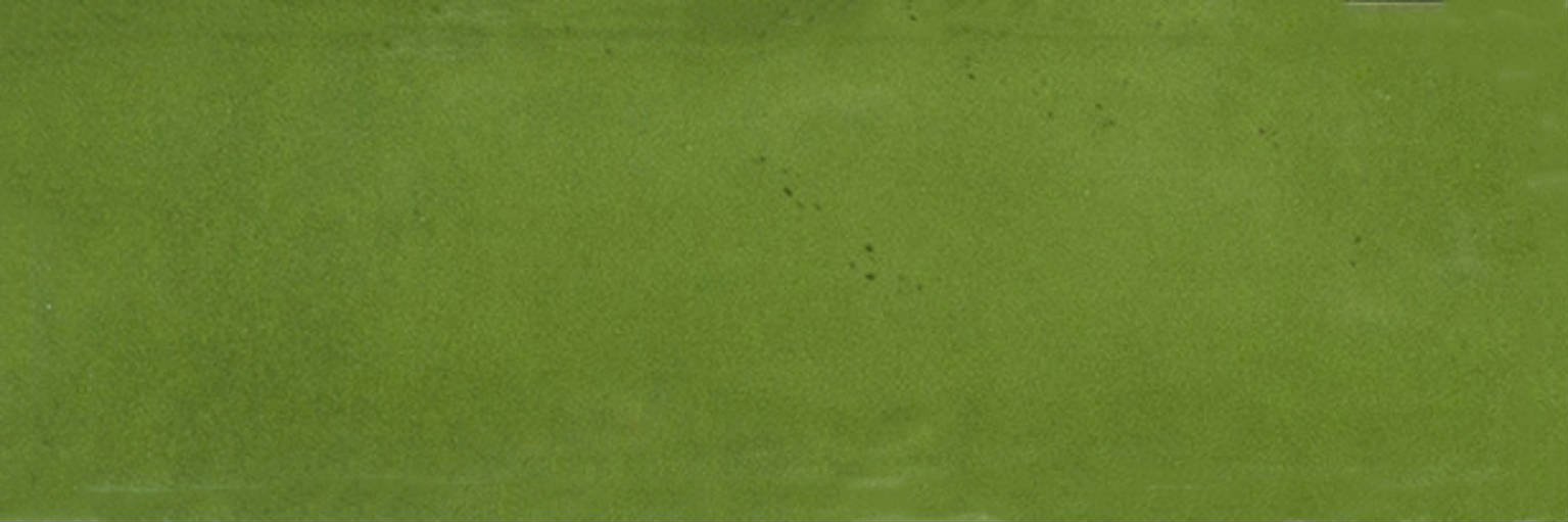 Barcelona 2x6" Olive | Clon Digital Tile Catalog