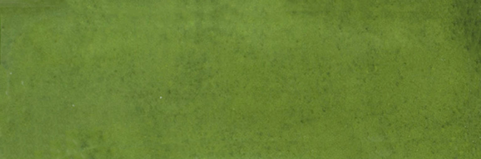 Barcelona 2x6" Olive | Clon Digital Tile Catalog