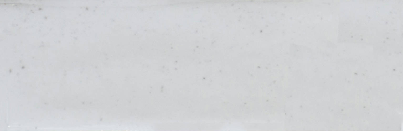 Barcelona 2x6" White | Clon Digital Tile Catalog