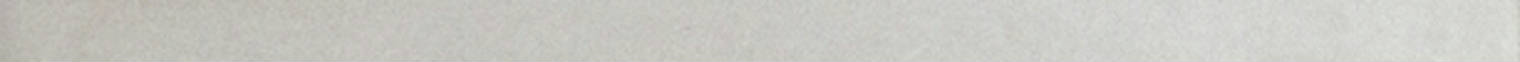 Lisbon 0.39X9” Moka Trim | Clon Digital Tile Catalog