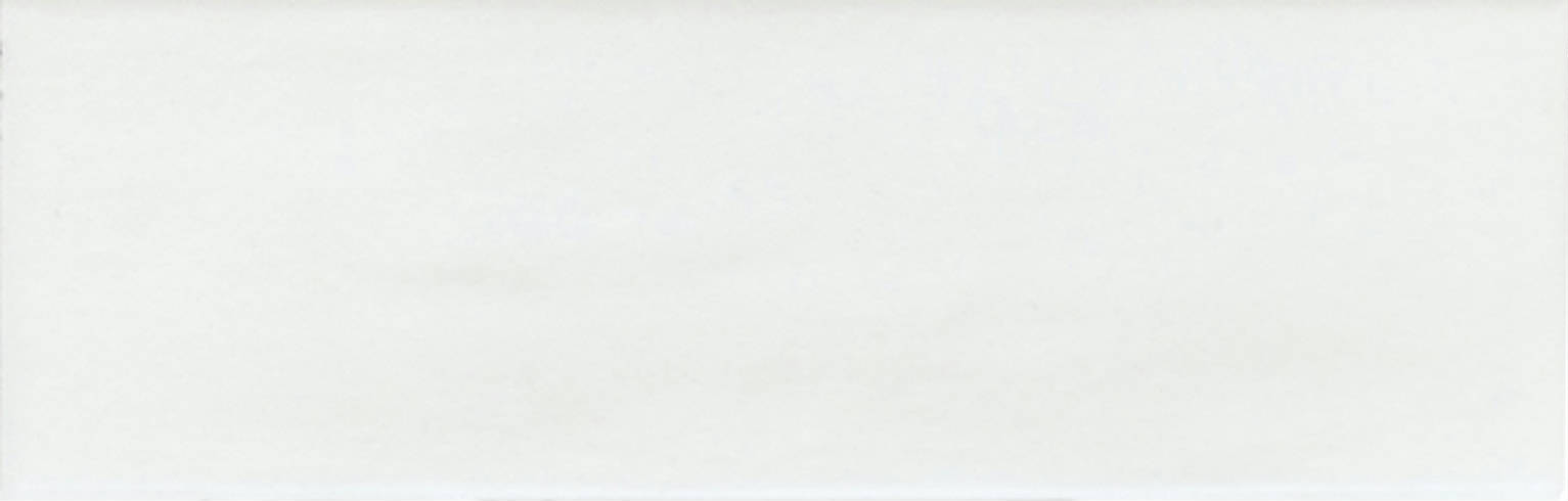 Lisbon 2x6" White | Clon Digital Tile Catalog