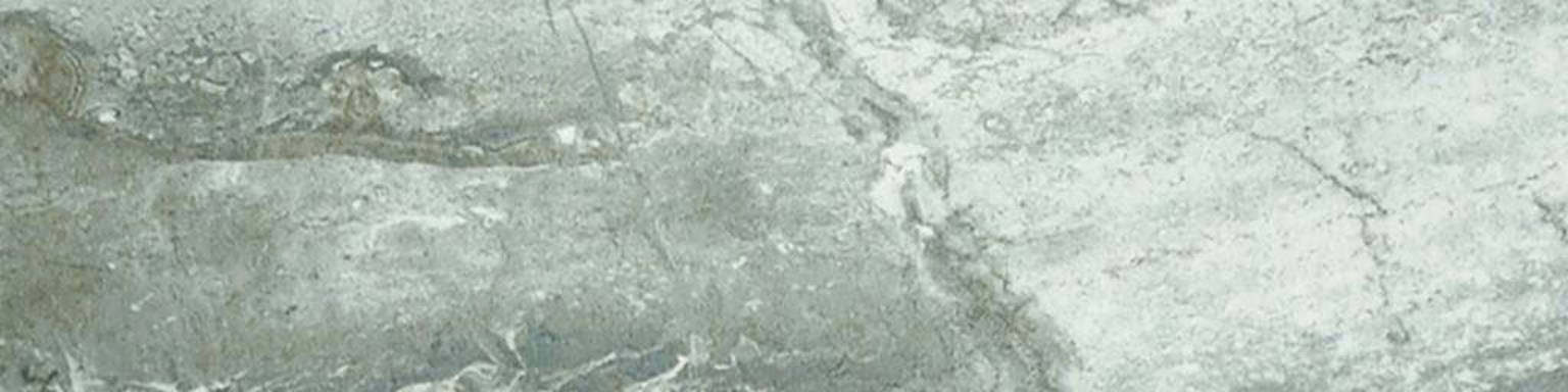 Parana 4X12 | Clon Digital Tile Catalog