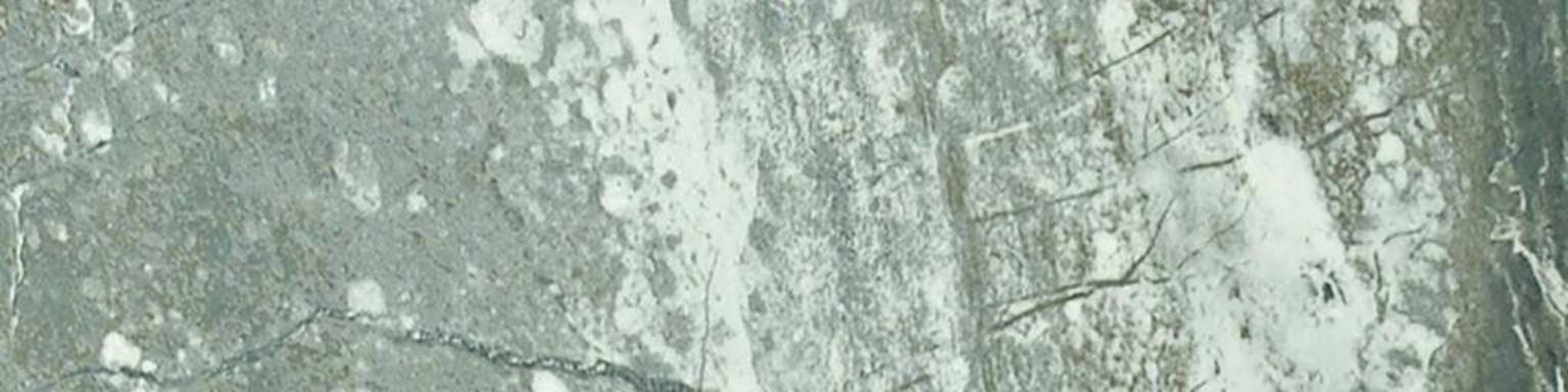 Parana 4X12 | Clon Digital Tile Catalog