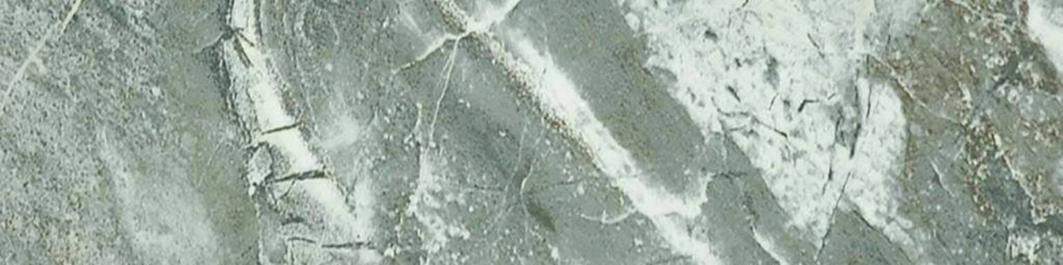 Parana 4X12 | Clon Digital Tile Catalog