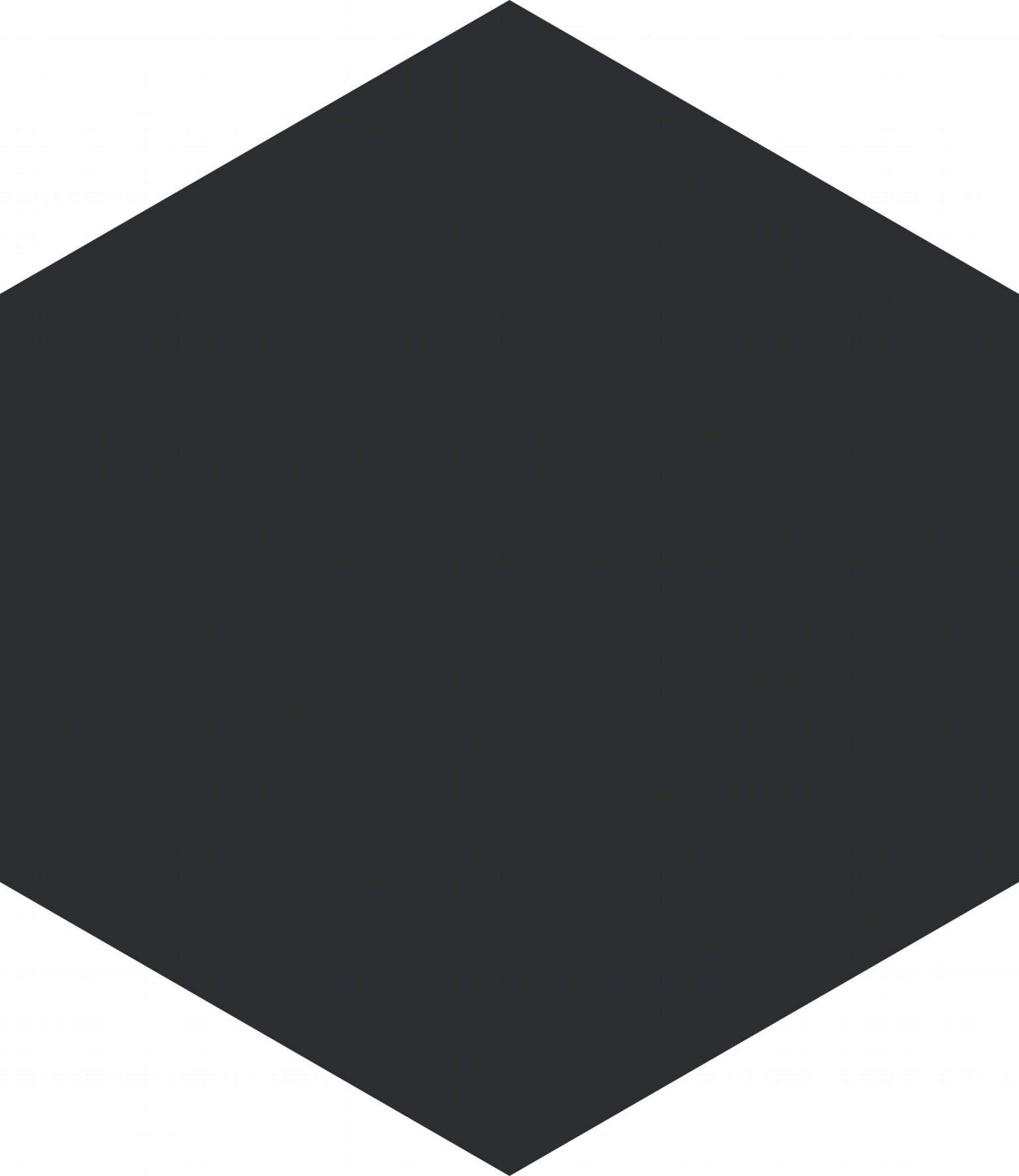 Vida 5.5X6.3” Black Hexagon | Clon Digital Tile Catalog