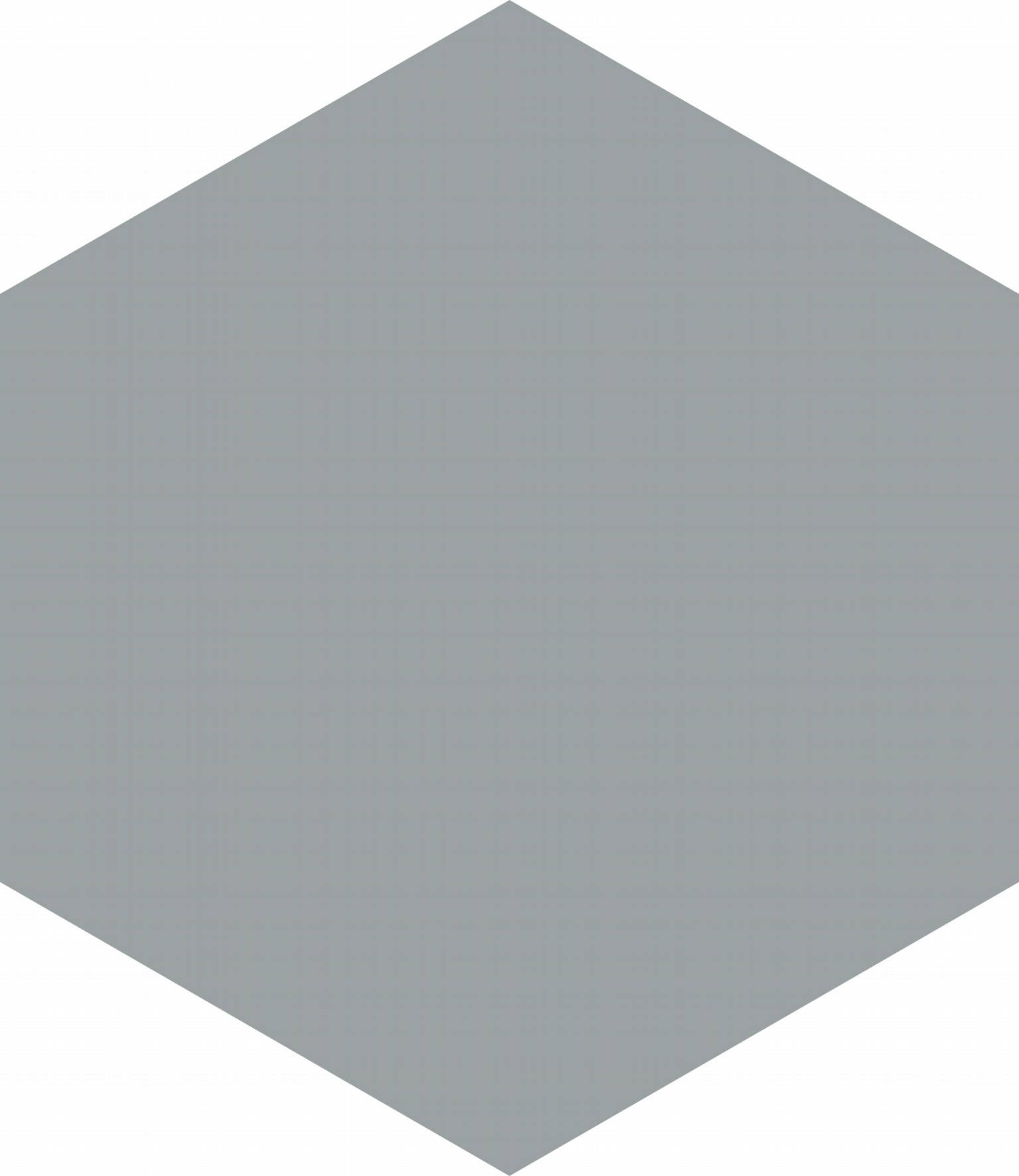 Vida 5.5X6.3” Grey Hexagon | Clon Digital Tile Catalog