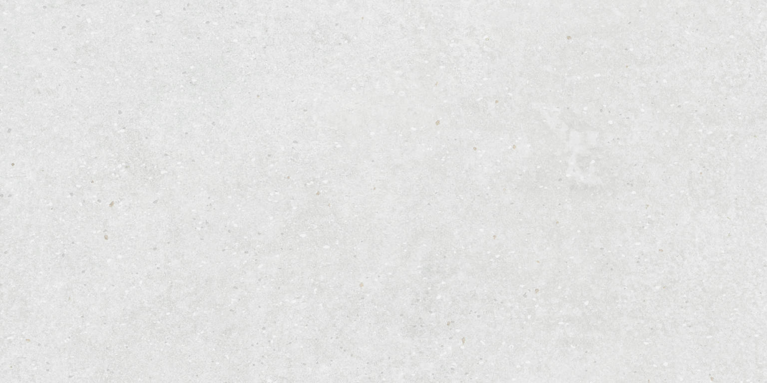 12X24 White | Clon Digital Tile Catalog