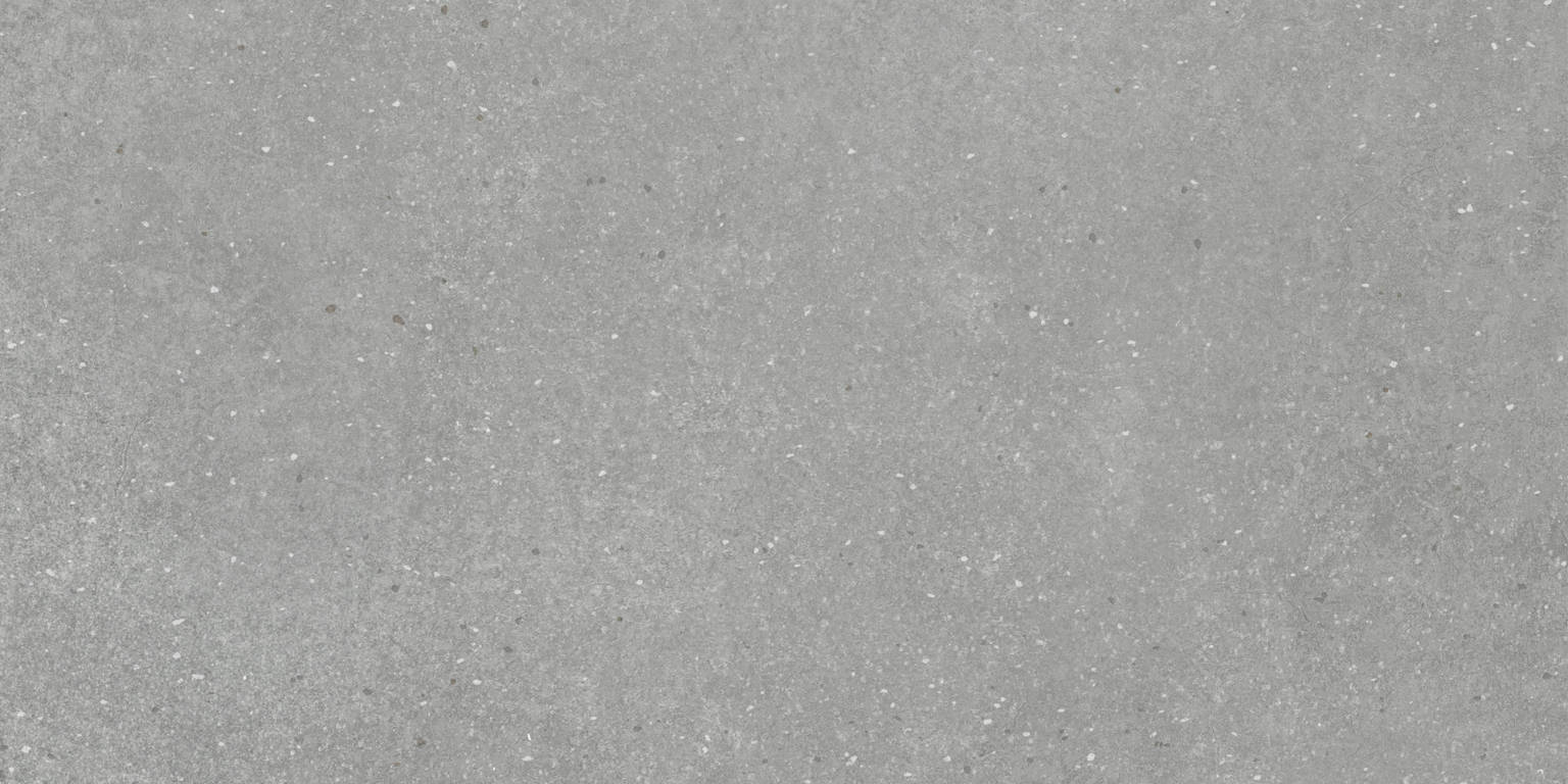 24X48 Grey | Clon Digital Tile Catalog