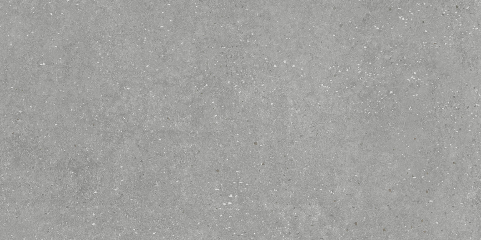 24X48 Grey | Clon Digital Tile Catalog