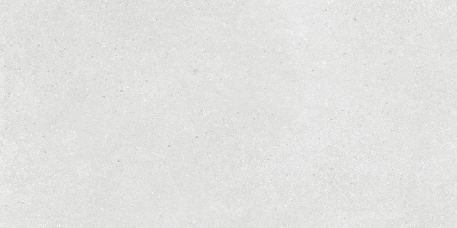 24X48 White | Clon Digital Tile Catalog