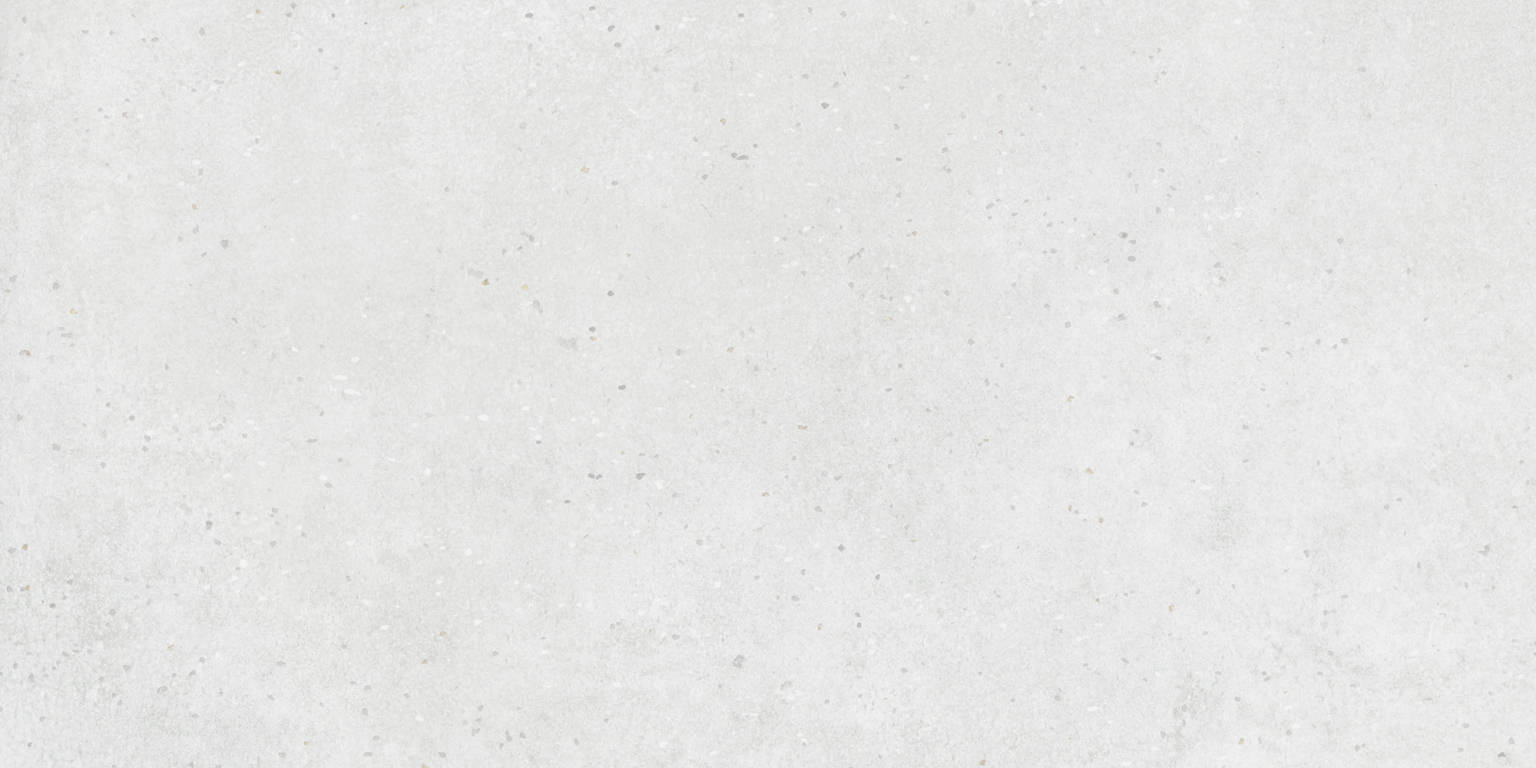 24X48 White | Clon Digital Tile Catalog