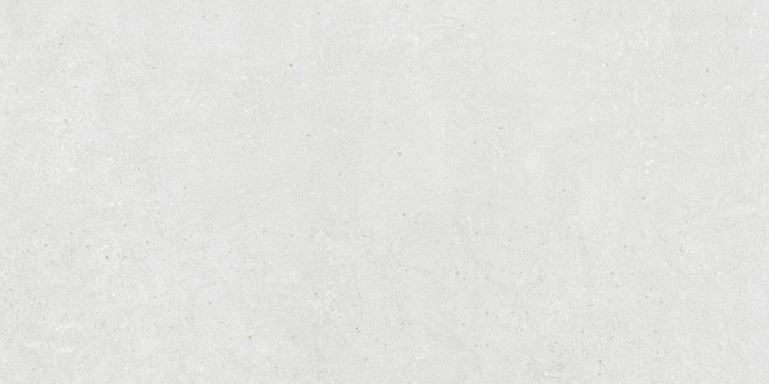 24X48 White | Clon Digital Tile Catalog