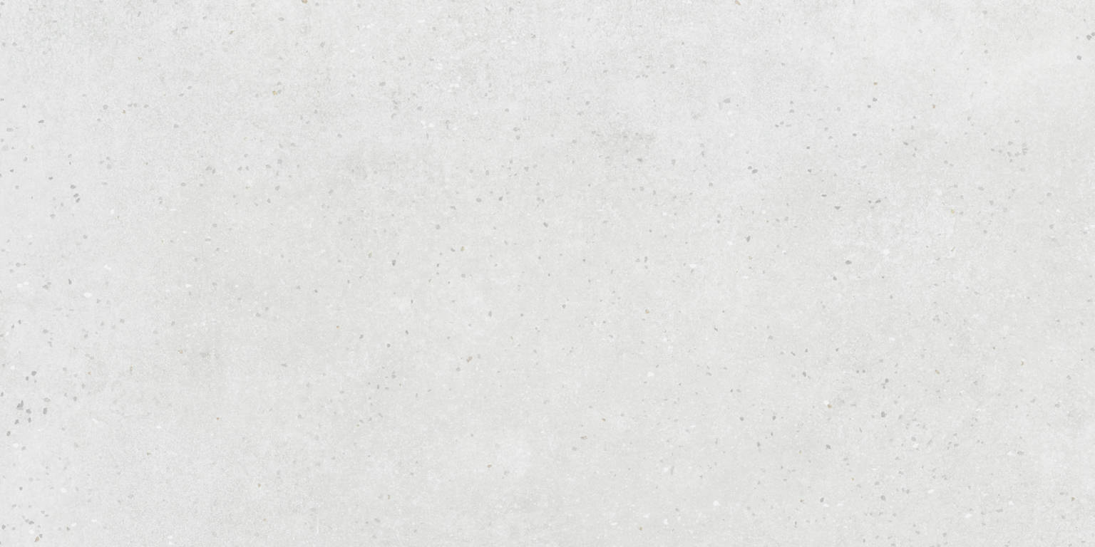 24X48 White | Clon Digital Tile Catalog