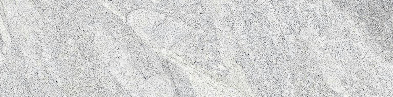 Capri Light Grey 3X12 SB | Clon Digital Tile Catalog