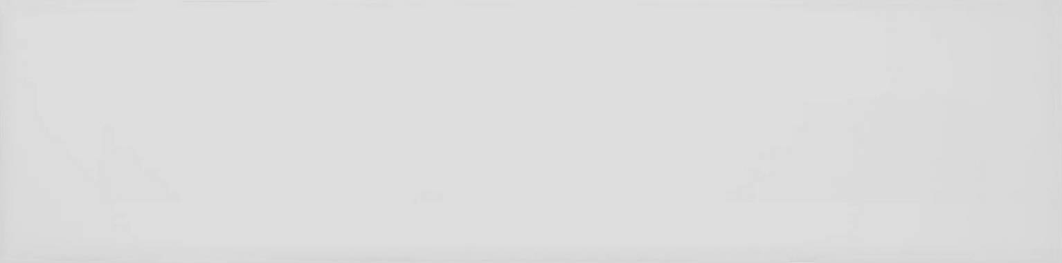 Comfort 4x16" Breeze Matte | Clon Digital Tile Catalog