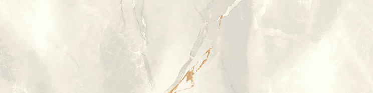 Venezia 3X12" Bullnose Grey | Clon Digital Tile Catalog