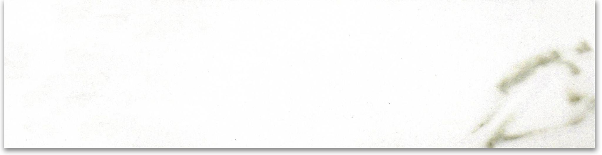 Matte 3X12 Adoration Bullnose | Clon Digital Tile Catalog