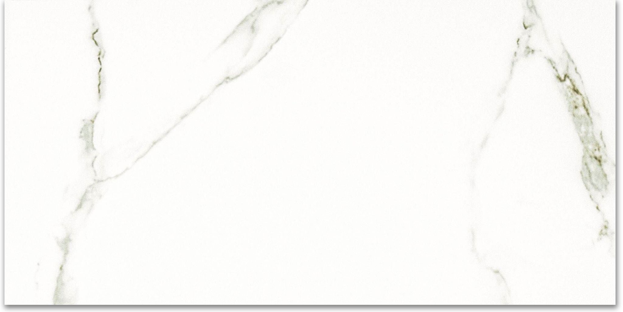 Matte Adoration 16X32 | Clon Digital Tile Catalog