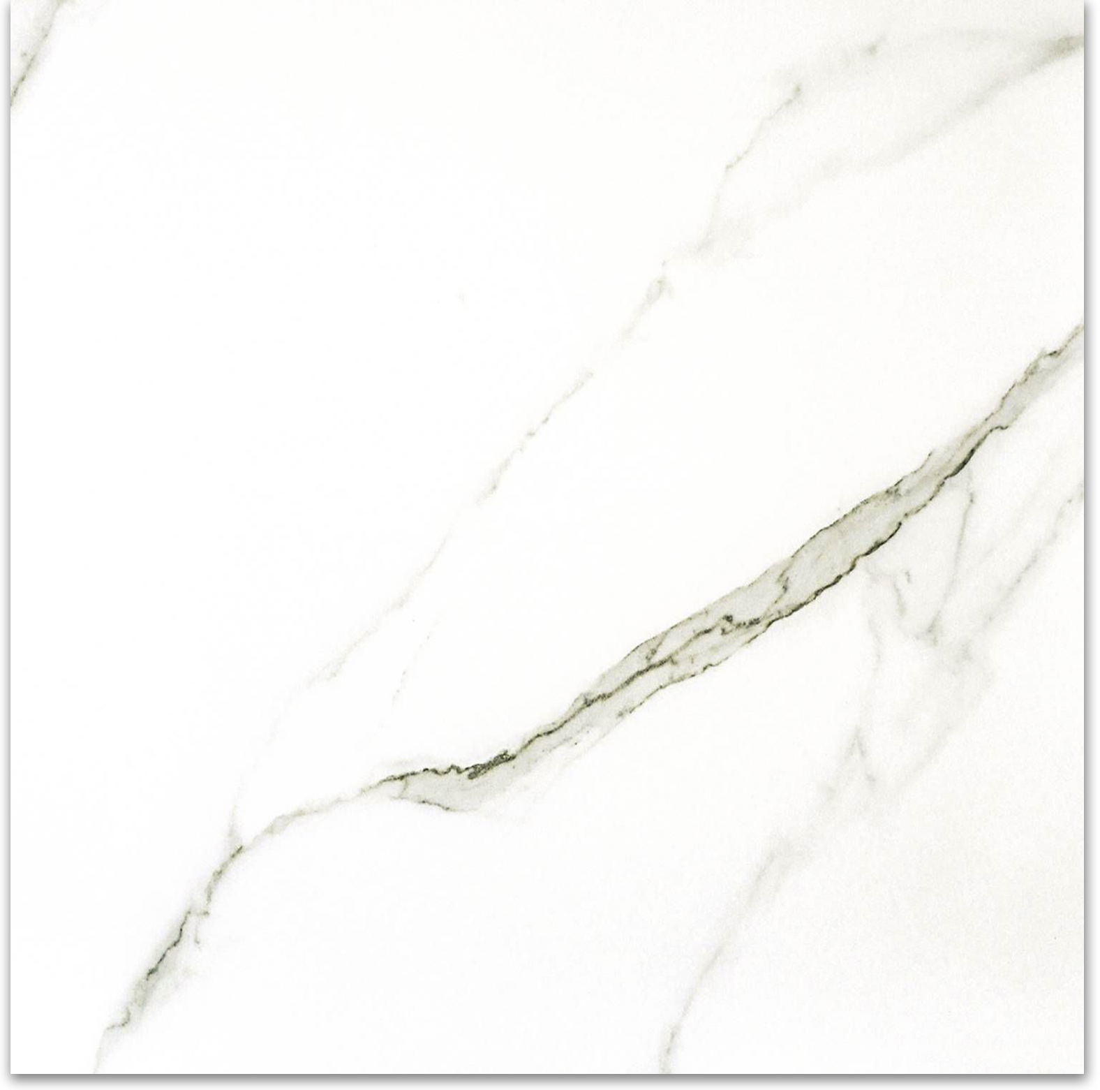 Matte Adoration 24X24 | Clon Digital Tile Catalog