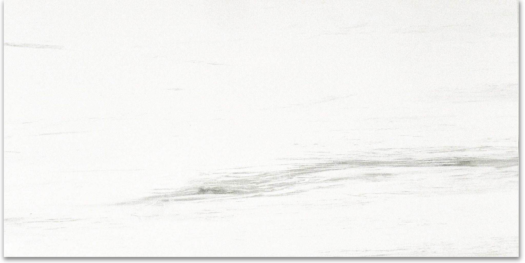 Matte Devotion 12X24 | Clon Digital Tile Catalog