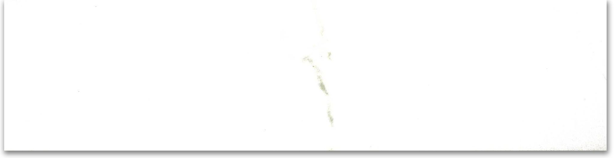 Polished 3X12 Adoration Bullnose | Clon Digital Tile Catalog