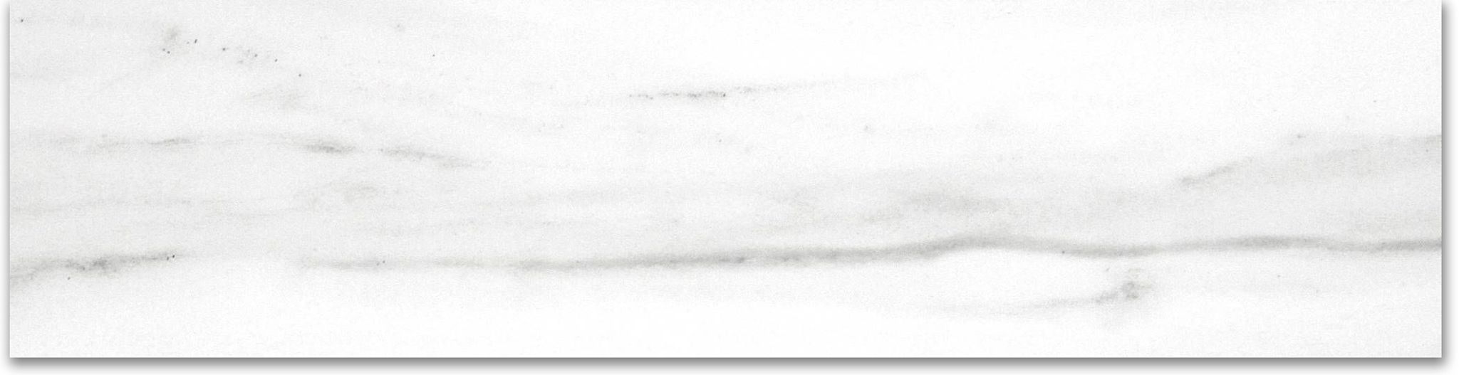 Polished 3X12 Infatuation Bullnose | Clon Digital Tile Catalog