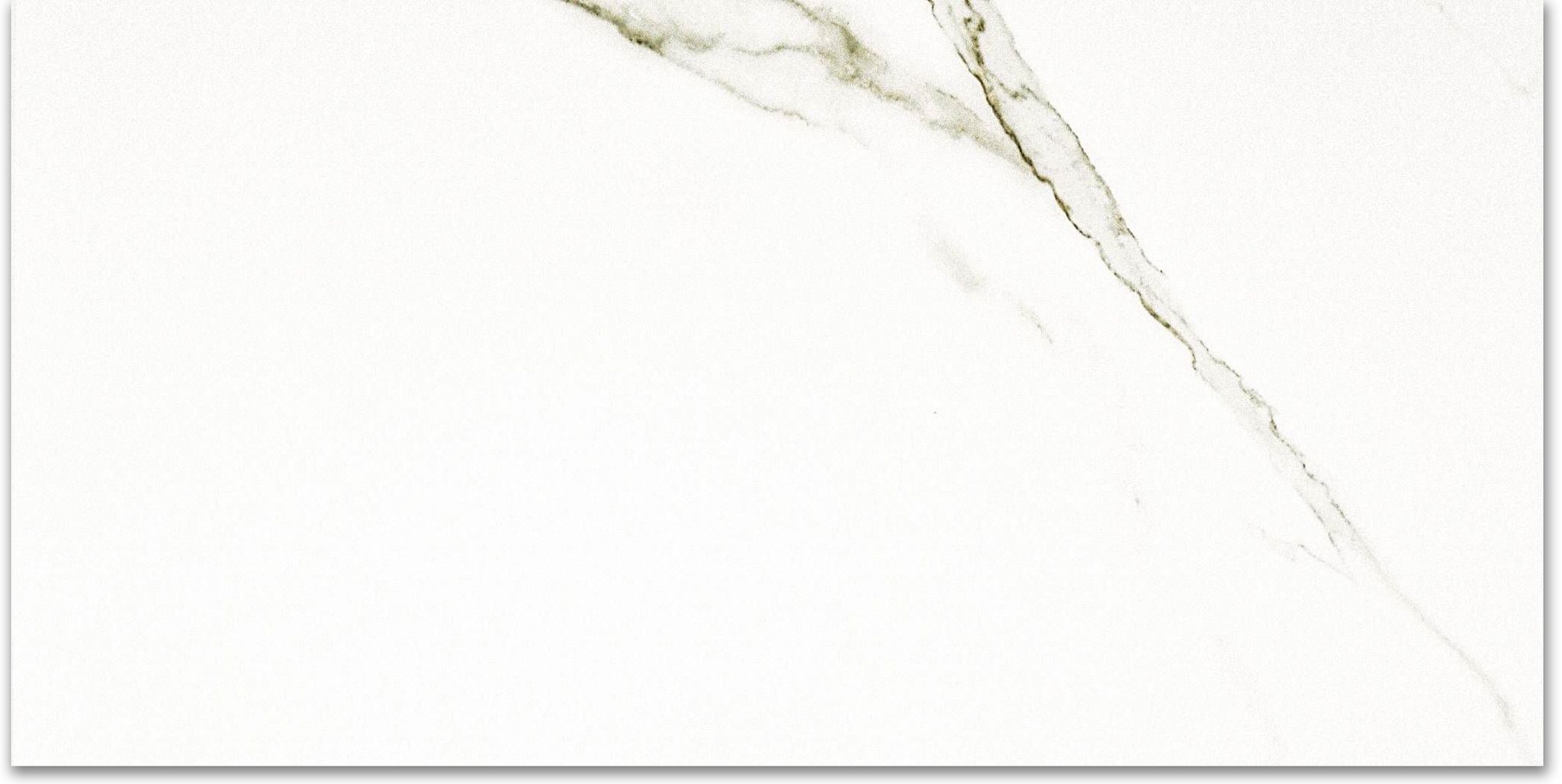 Polished Adoration 12X24 | Clon Digital Tile Catalog