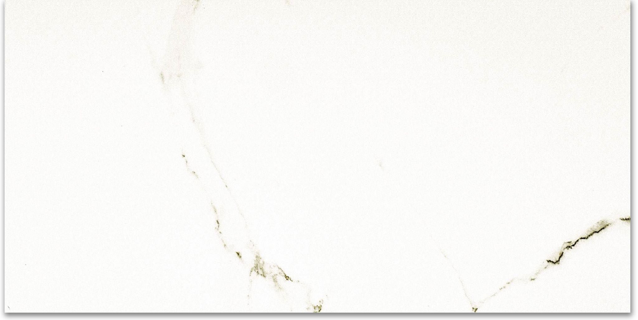 Polished Adoration 12X24 | Clon Digital Tile Catalog